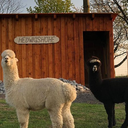 Urlaub Auf Dem Bauernhof Hedwigshoehe Hohnstein Εξωτερικό φωτογραφία